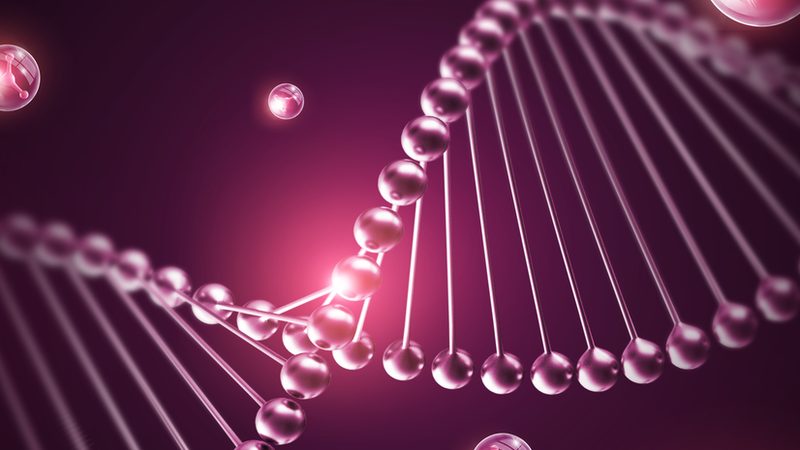 生物科技产品大观园：探秘多样化的研发成果**