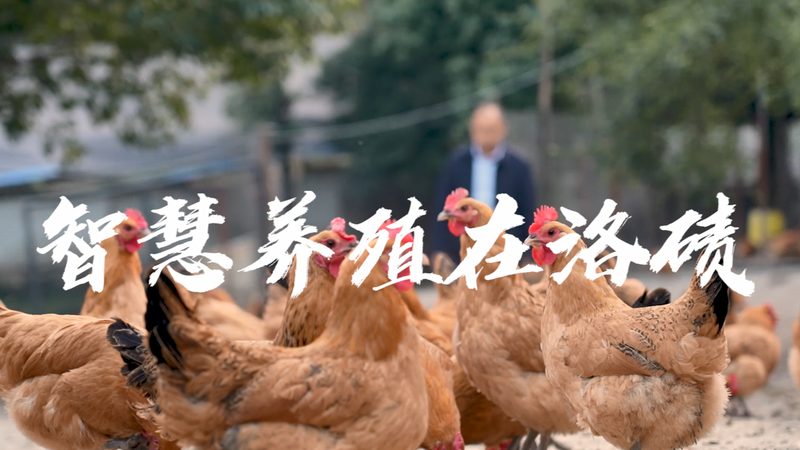培养基批号与有效期，如何确保实验室安全高效？**