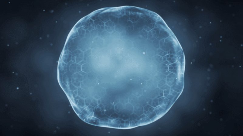 PCR实验用移液器怎么挑