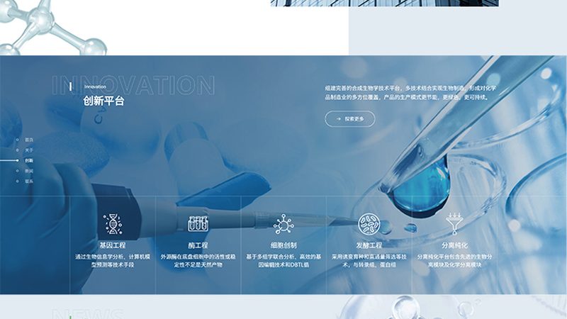 酶制剂国标与行业标准：差异解析与选择要点