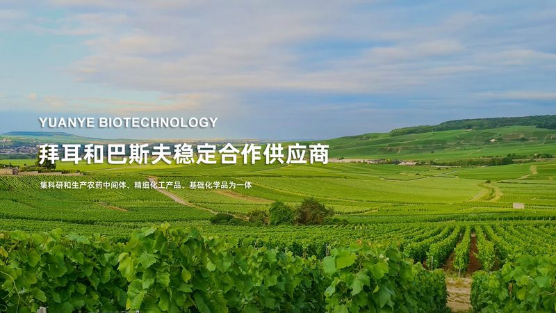 上海电动移液器代理加盟