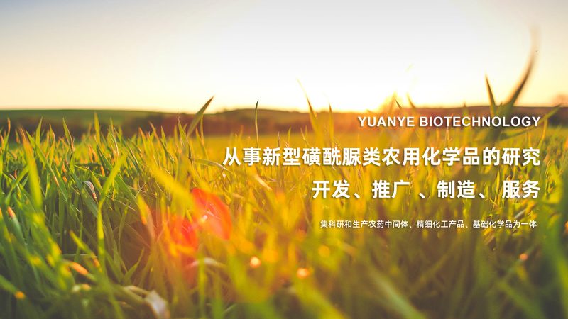 提升CRO转化率的关键策略解析