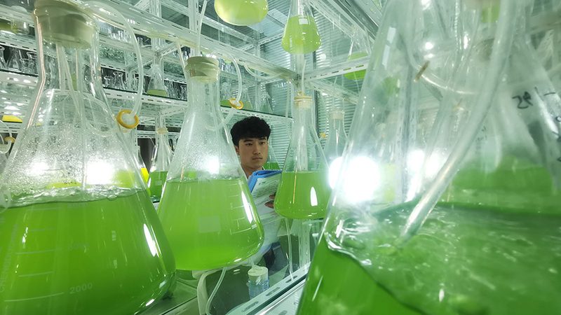 生物制品临床试验步骤解析：关键节点与策略**